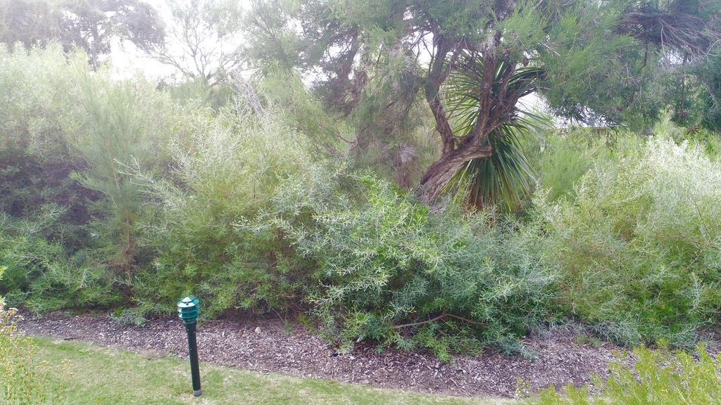 Margaret River Beach Apartments Gnarabup Exterior foto